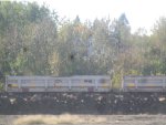 DM&IR 2124